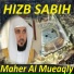Maher Al Mueaqly