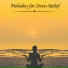 Symphony Orchestra Anti-Stress Sound