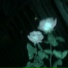 Mistlebloom, Universatility Group