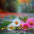 مولوی محمد جمعه ساجد