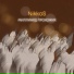 NikkoS