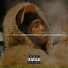 Trifln' feat. Lulbearrubberband, Clyde Carson