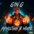 GIN G
