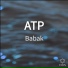 Babak
