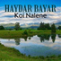 Haydar Bayar