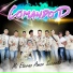 Comando D