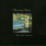 Throwing Muses