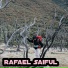 Rafael Saiful