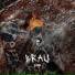 Brau