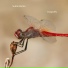 Subtle Matter