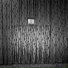 Bill Baird