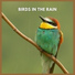 Ambient Sounds from I'm In Records