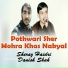 Sheraz Haidri, Danish Shah