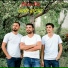 Grup Yıldız