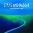 Stars and Rabbit