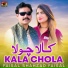 Faisal Shahzad Faisal