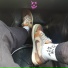 spxckemoboy