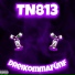 TN813