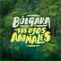 Bulgara