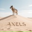 AXELS