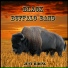 Black Buffalo Band