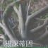 弹力
