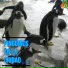 Zoológico Guadalajara