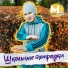 Миша Летний