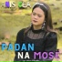 Anis Gea