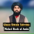 Molavi Rooh ul Amin