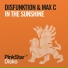 Disfunktion, Max'C