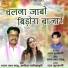 Ratanlal Sahu, Anita Manikpuri