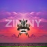 ZIMINY