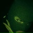 viro.Page