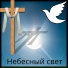 Сияющая звезда, ледяная звезда, белая ночь