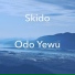 Skido