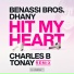 Benassi Bros, Dhany