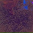 HenL