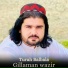 Gillaman Wazir