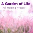 The Healing Project