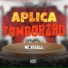 Mc Rahell, DJ Paulinho