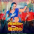Shilpi Raj