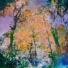 David Douglas, Amy Root