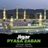 Salman Haider