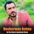 Nosherwan Ashna