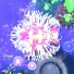 sunflow37
