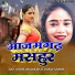 Ragini Vishwakarma, Ravindra Diwana