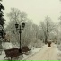 Михаил Курсеев
