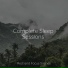 Wellness, Sleep Songs 101, Brain Study Music Guys