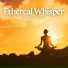 Meditation Masters